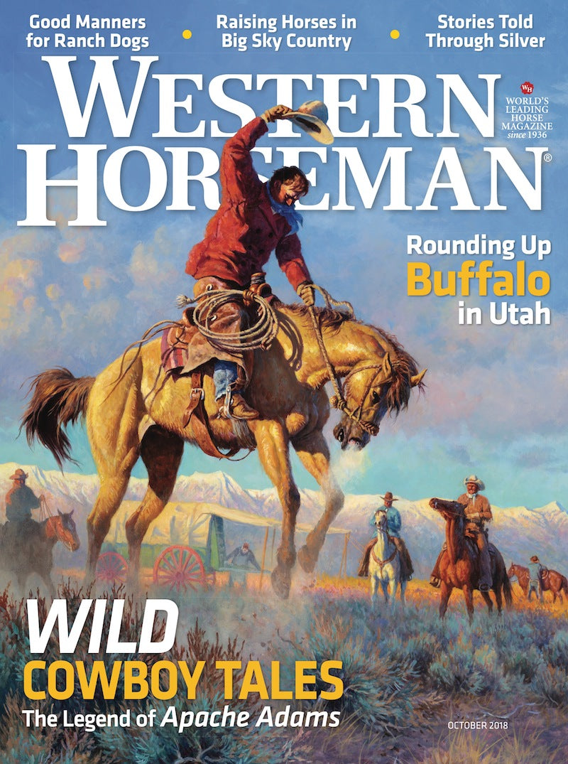 American Pride: Made in the USA - Western Horseman