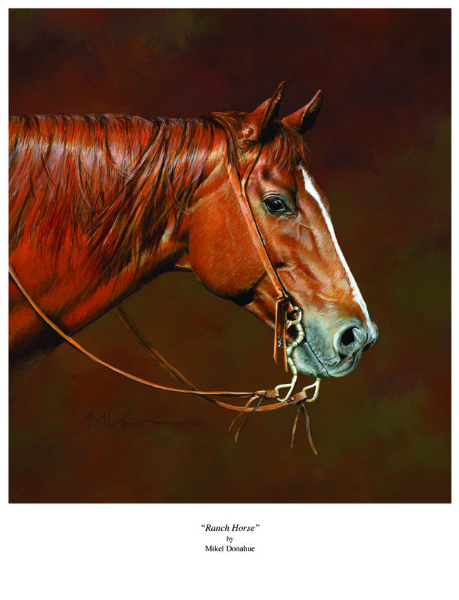 Ranch Horse by Mikel Donahue